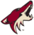 Coyotes Image-large