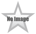 Redwings Star-large